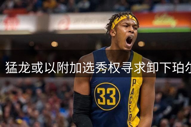 猛龙或以附加选秀权寻求卸下珀尔特尔高额合同
